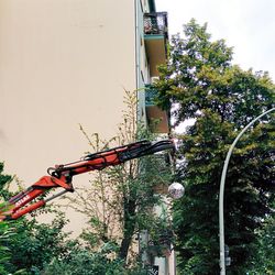 Low angle view of trees