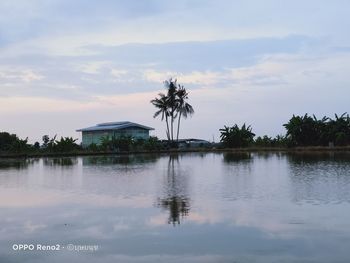 Palm trees by lake against sky