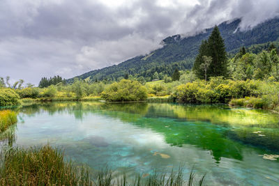 Scenic view of lake by trees against sky