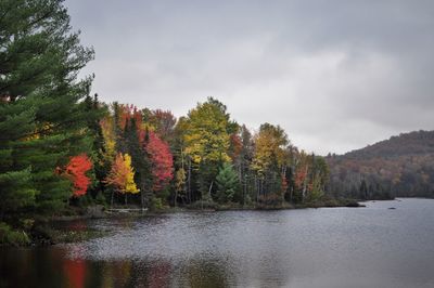 Scenic view of lake by trees against sky during autumn