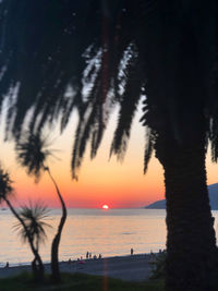 Silhouette palm trees on beach against sky during sunset