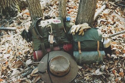 childhood, lifestyles, leisure activity, leaf, casual clothing, autumn, men, boys, day, high angle view, full length, field, elementary age, standing, outdoors, leaves, shoe, season