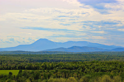 Scenic view of landscape against sky