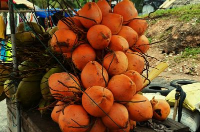 Close up of pumpkins