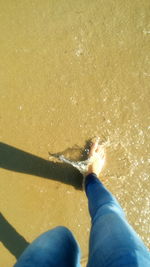 Low section of woman standing on beach