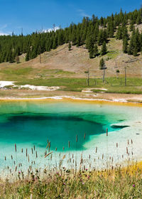 Scenic view of geothermal springs and wilderness against sky in wyoming