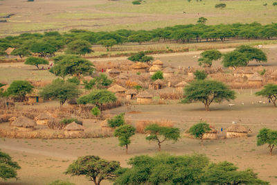 View of masai village at mount ol doinyo lengai in the ngorongoro conservation area in tanzania