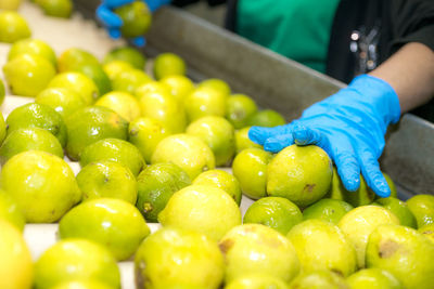 Close-up of green fruits for sale at market stall