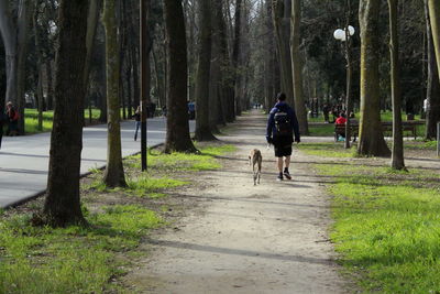 Rear view of man walking with dog on road at park