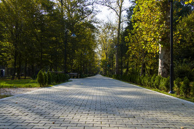 Garden and park, zugdidi botanic garden in georgia.