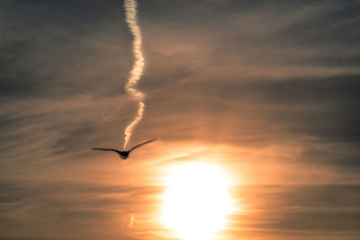 Low angle view of silhouette bird flying in sky