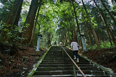 Rear view of people walking on staircase in forest