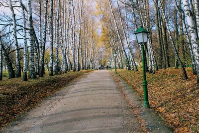 Road amidst bare trees during autumn