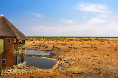 Scenic view of landscape against sky