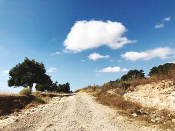 Scenic view of road amidst trees against sky