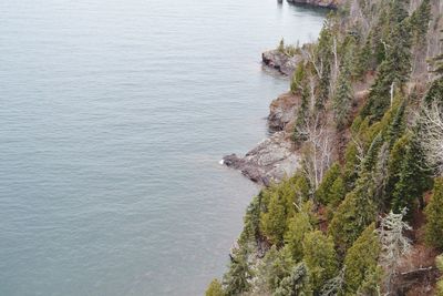 High angle view of trees by sea