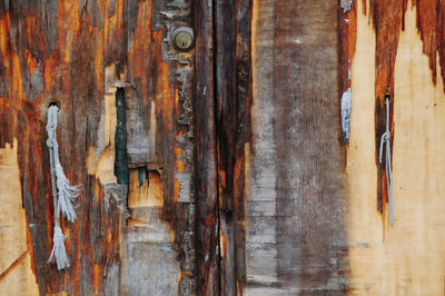 wood