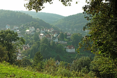 Trees and houses by buildings against mountains