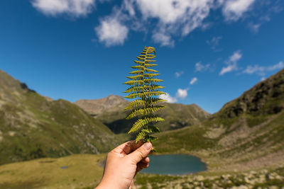 Cropped image of hand holding fern against mountains