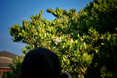 Rear view of man against trees