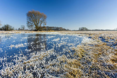 Scenic view of snow covered field against clear sky