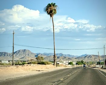 Road by palm trees against sky