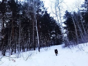 Woman walking on snow covered land