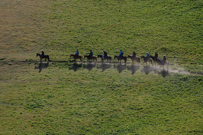 Group of people in farm