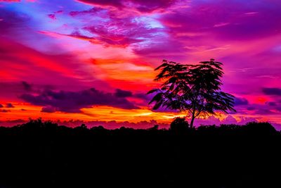 Silhouette trees against dramatic sky during sunset