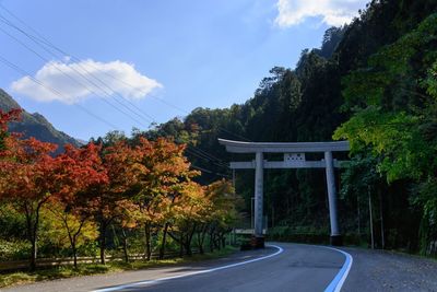 Road by trees against sky during autumn