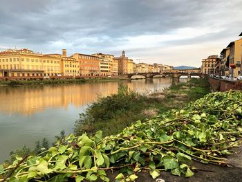 Bridge over river by buildings in city against sky