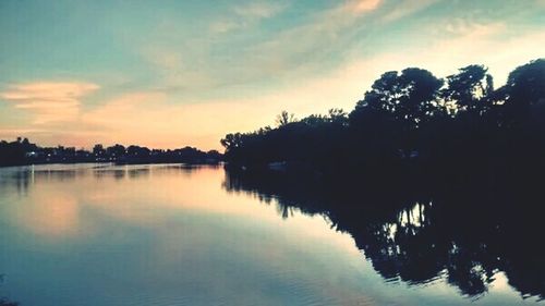 Silhouette of trees at sunset