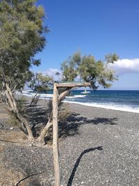 Trees on beach against sky