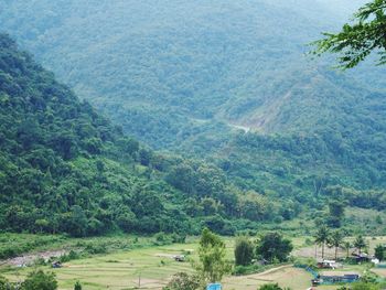 High angle view of trees on landscape