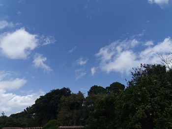 Low angle view of trees against sky