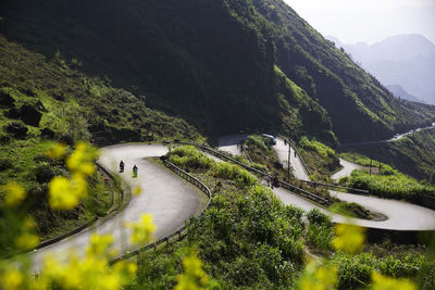 Beautiful famous curving turns of ha giang loop, in the middle of mountain and flowers forest