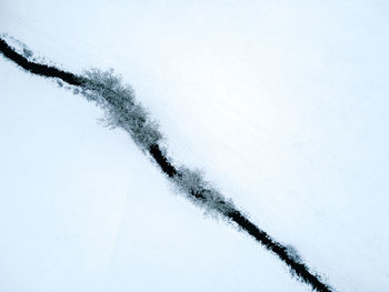 Close-up of snow covered field