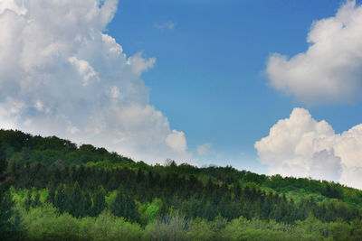 Scenic view of landscape against cloudy sky