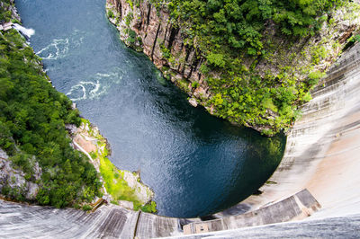 High angle view of river amidst trees