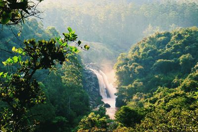 A scenery view of a waterfall during a hike in the mlilwane wildlife sanctuary