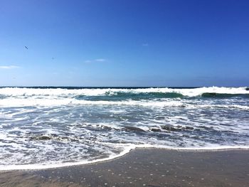 View of calm beach against blue sky