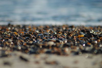 Close-up of pebbles on beach