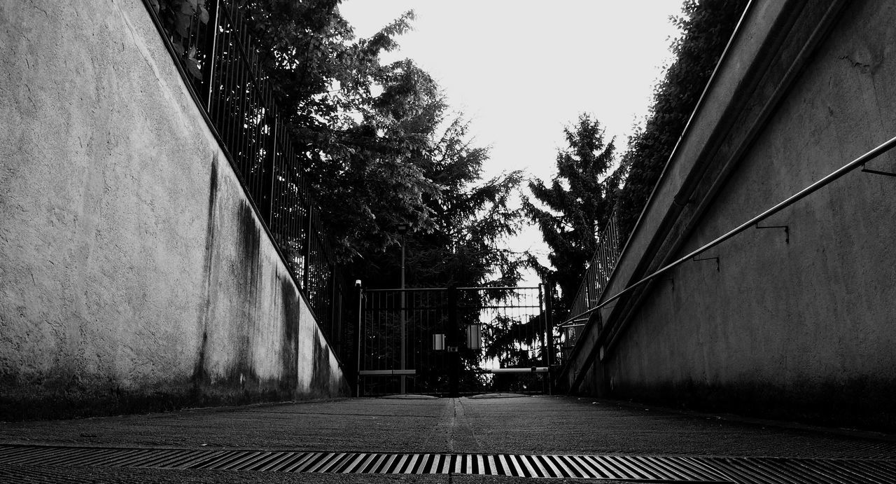 the way forward, transportation, built structure, diminishing perspective, tree, architecture, vanishing point, clear sky, building exterior, road, long, railroad track, narrow, sky, day, growth, railing, wall - building feature, outdoors, sunlight