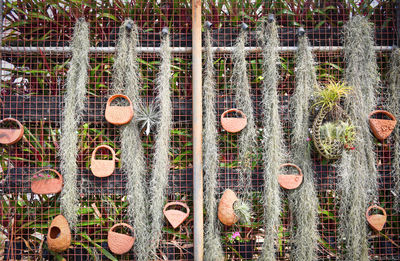 Full frame shot of fence with plants