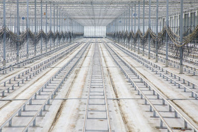 Hydrangea growing facility supplying europe is closed