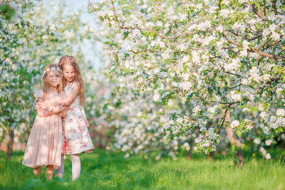 Rear view of a girl with flowers on grass