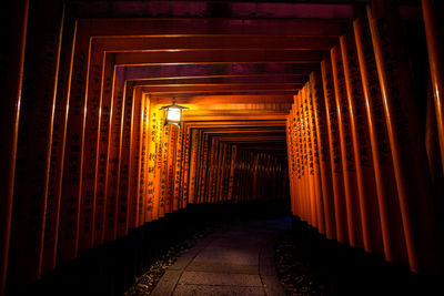 Empty illuminated footpath amidst torii gates at night