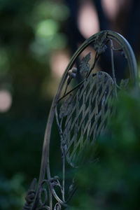 Metallic chair by plant in back yard