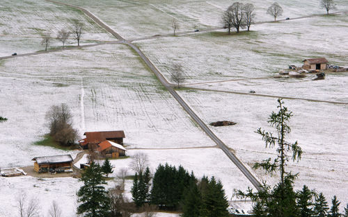 High angle view of snow covered houses by trees