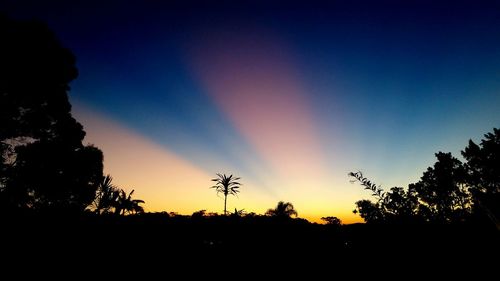 Silhouette trees against sky at sunset